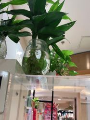 -时尚殿堂hair salon