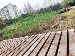 -江南大学(蠡湖校区)