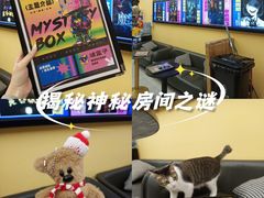-谜盒子奇幻密室(南屏店)