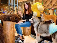 -more than meow吴止猫主题餐厅(承德 中船汇店)