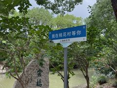 -南汇桃花村