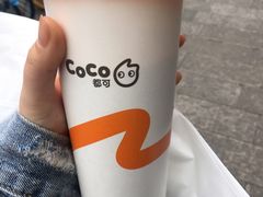 大红袍珍珠奶茶-CoCo都可(湖滨银泰店B区店)