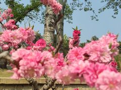 -海棠花溪(元大都城垣遗址公园)