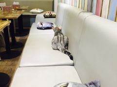 -小时光咖啡馆(开森度假森林店)