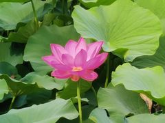 -莲池书院博物馆