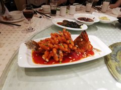 松鼠鳜鱼-顺风海鲜港(金玉兰店)