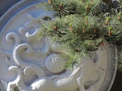 -和风景里酒店(护国寺店)