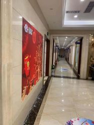 -碧莲盛·不剃发植发