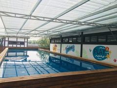 宠物泳池-太阳岛度假酒店