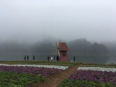 -广州市石门国家森林公园