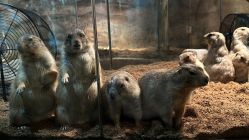 -Zoolung Zoolung动物主题公园(海信广场店)