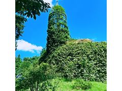 -三鹰之森吉卜力美术馆