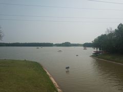 -上海海湾国家森林公园