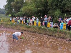 -宾果蒙特梭利托育儿童之家幼儿园(爱琴海店)