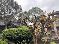 -西安化觉巷清真大寺