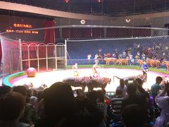 -西安秦岭野生动物园