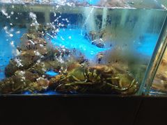 -蟹之国·精品蟹料理(极地店)