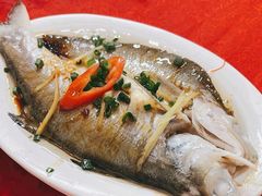 -蛇口康乐快餐鱼仔档(翠苑小区店)