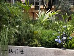 -麦当劳(集美石鼓店)