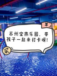 -宝燕水乐园