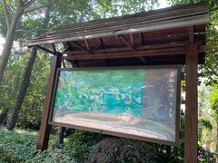 -天目湖涵田半山温泉