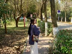 -合肥滨湖国家森林公园