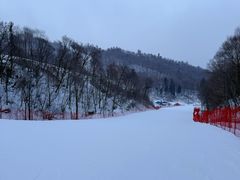-亚布力新体委滑雪场