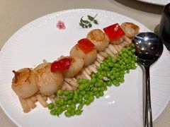 -皇朝会.经典传统粤菜(外滩店)