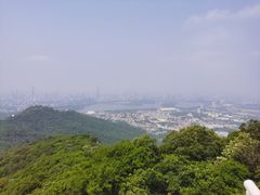 -紫金山山顶公园