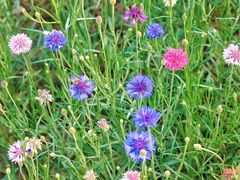 -仙海旅游度假区