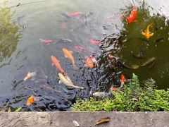 -成都杜甫草堂博物馆