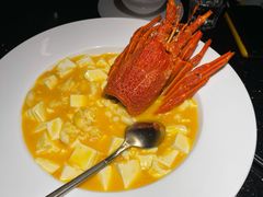 金汤龙虾海胆豆腐-小运河·公馆(国贸店)