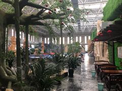 -兴芮温泉度假区