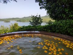 -天目湖涵田半山温泉