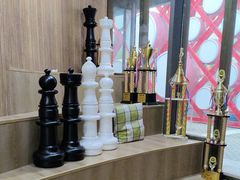 -常青藤国际象棋(新奥店)