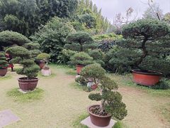 -水绘园