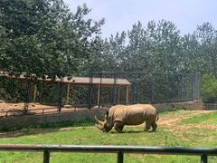 -大连森林动物园