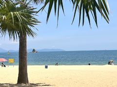 -大梅沙海滨公园