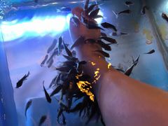 -汤连得温泉馆(宝山店)