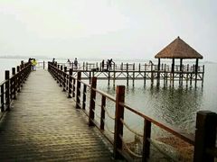 -瑶湖郊野森林公园