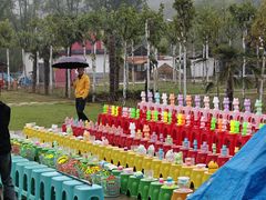 -渭南桃花源民俗文化园