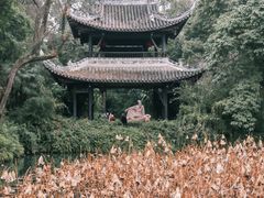 -三苏祠