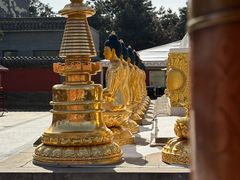 -护国法轮寺