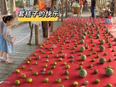 -前小桔亲子创意农场·草莓采摘·露营烧烤