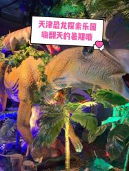 -恐龙探索乐园(磁器口店)