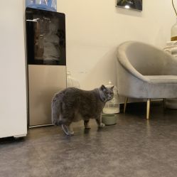 -飛凡TATTOO纹身•原创