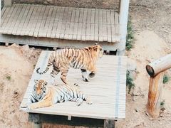 -石家庄市动物园