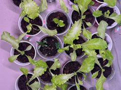 -ZARA(昆明顺城购物中心店)