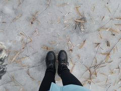 -长春市南湖公园