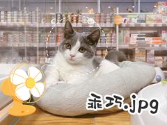 -狗道宠物(常熟印象城店)
